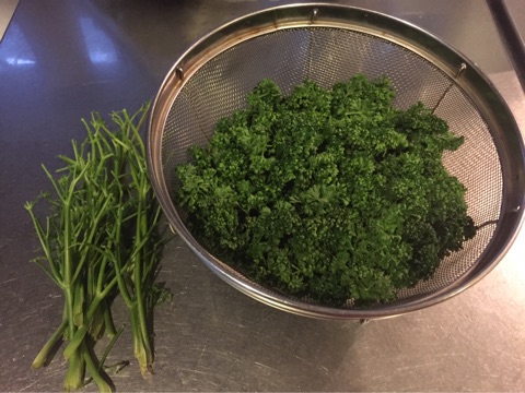 {D979A423-10A8-48FF-8679-3EB8744DD936}