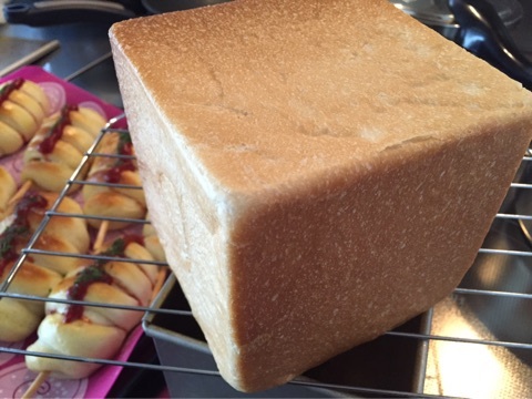 {50510497-0F34-47D8-816E-B6569CE11411}