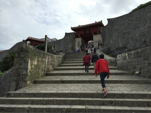 {357D66F2-E9D5-4432-BE49-BC5A88304A59:01}