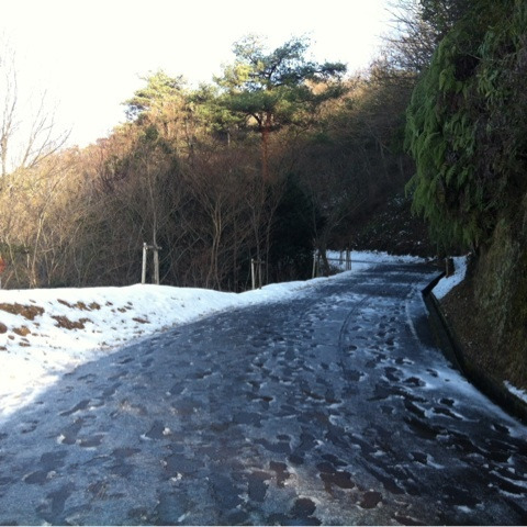 photo:01