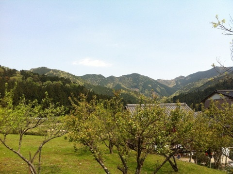 {224392B0-1948-4C85-A3C8-E8A18AA2EB8F:01}