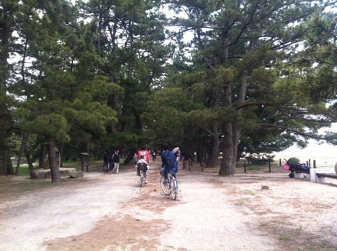 {9983D5B1-8771-4555-9136-FF88146E11AC:01}