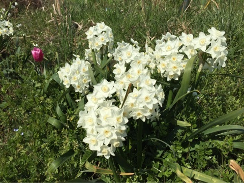 {6F862A7B-AB62-4BEB-AA11-D2D6956E2AC9}