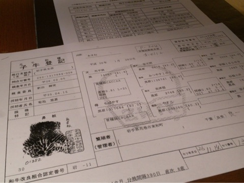 {E06F109A-A32A-4D8D-B0DD-ED1E95F09F31}