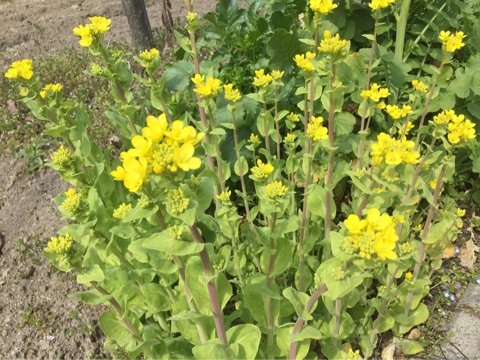 {2F4D942C-5454-46B2-9F48-237C6C168063}