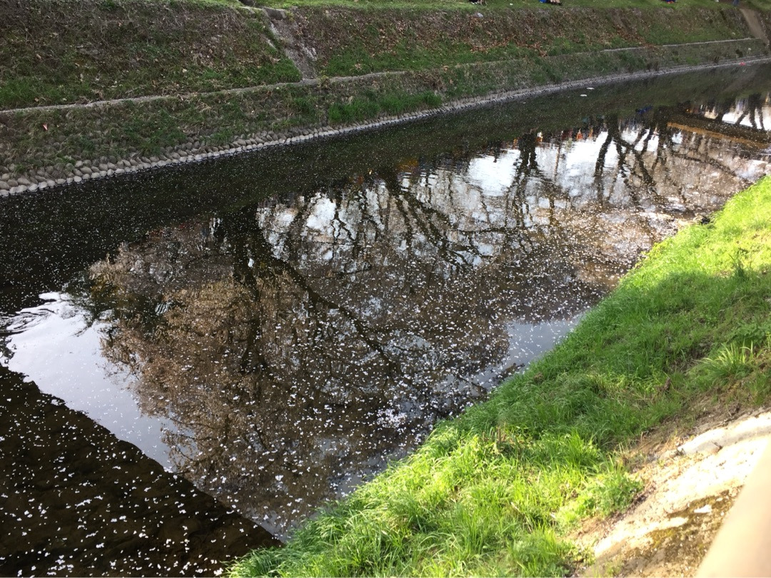 {F4E61F7E-EE3D-41AF-88A7-854121AE34CC}