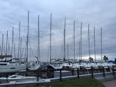 {BB2D2176-D3A2-4A91-8E50-A180BEC0455F}