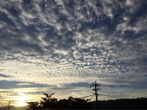 {8389D213-89D4-46B0-AB73-439AC1611A34}