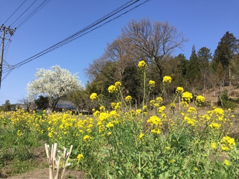 {AFA90CB7-1253-44EA-B510-F8668D5B1B80}