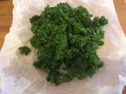 {AF042AD2-46E4-43ED-84BA-7E89F035C5D1}