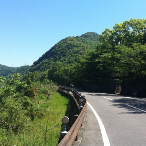 photo:01