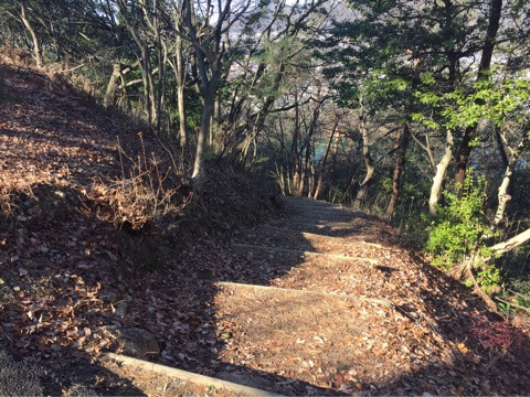 {BE97F43A-599A-4863-AA1B-E593B1625D2D}