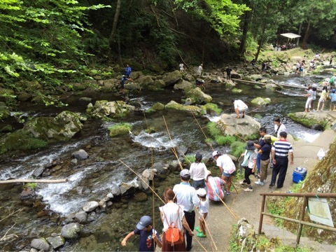 {95CFC4DC-918D-4DB3-984D-453973EE1F30}