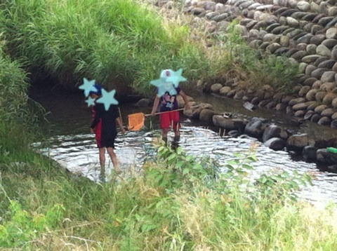 {81869F5C-7BEE-4616-96E0-21FBD6135E8A:01}