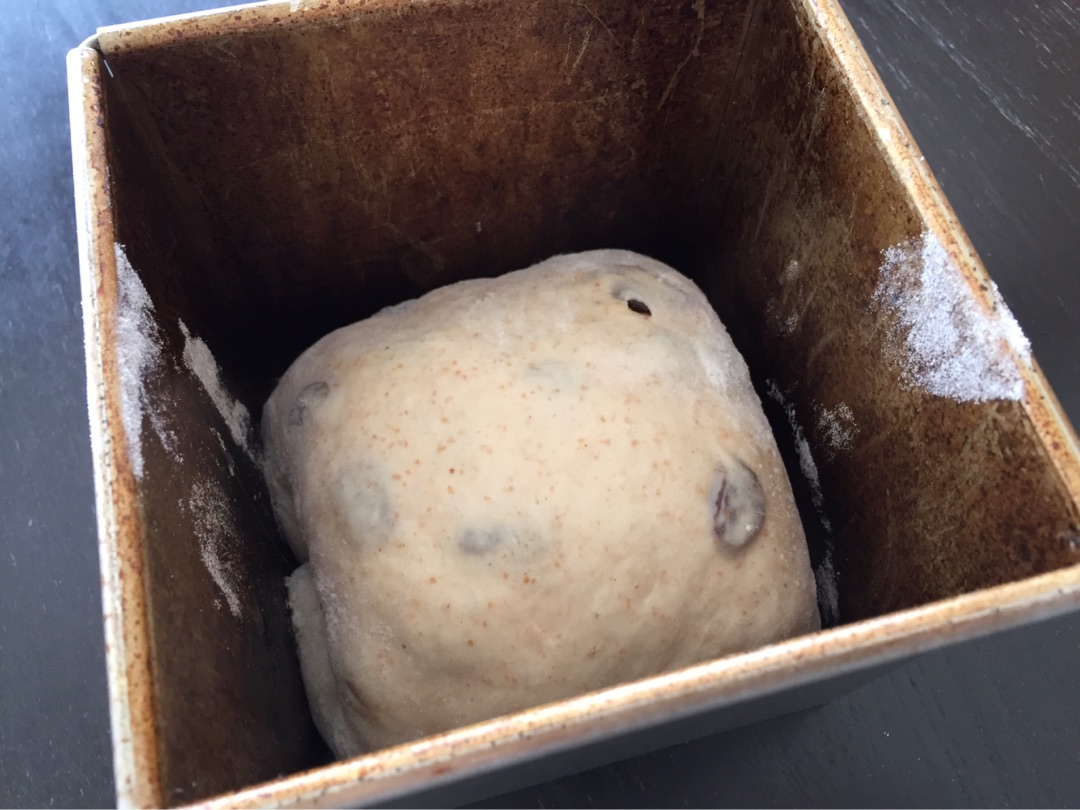 {89958BFF-E552-4CDA-87E1-7C31097C5627}