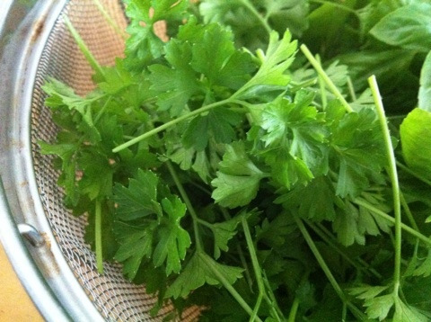 {2D10D7FD-0711-4CF4-9455-916D83EE7414:01}