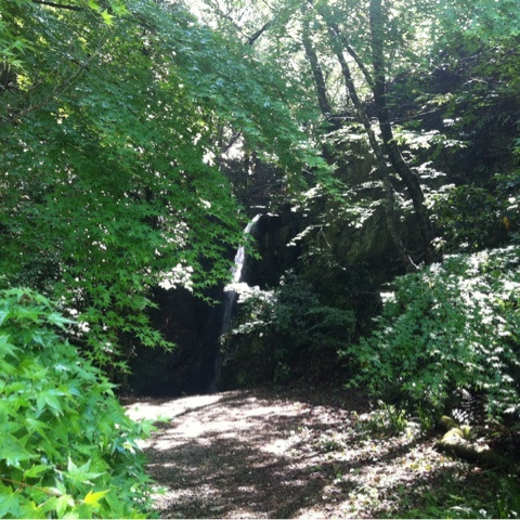 photo:02