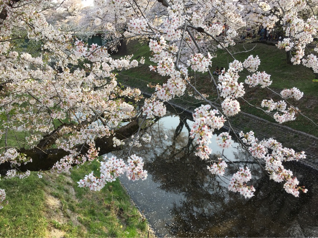 {EFE6762A-BFB5-464C-80FA-360AA03AF7C4}