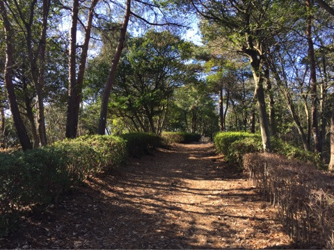 {863ECD82-52A4-42BC-A650-E27D9992A774}