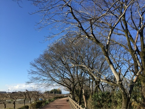 {7F9FA65A-C89E-49FF-8F04-A6B66C43D4A3:01}