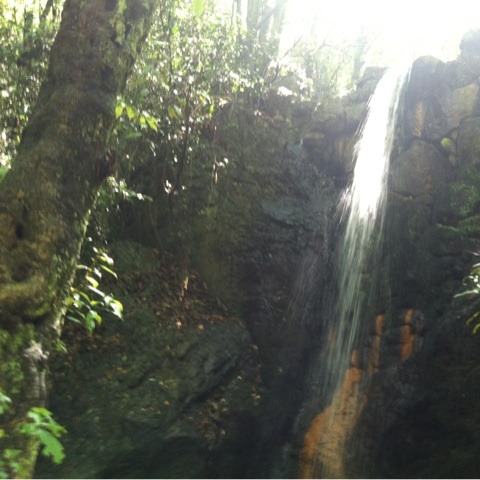 photo:03