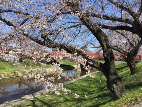 {95DFC82D-A8A2-4D45-9A24-E2A130F36A9A}