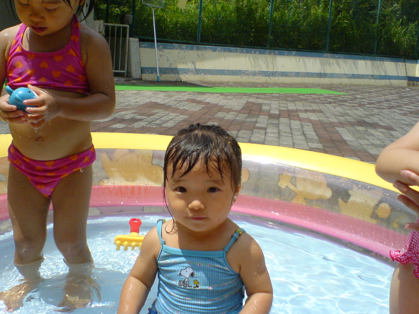 綱島公園プール にゃんこのキラキラ ミ