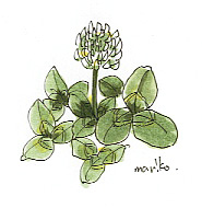 ほぼ 一日一絵 イラスト Livedoor Blog ブログ ほぼ 一日一絵 イラスト Livedoor Blog ブログ
