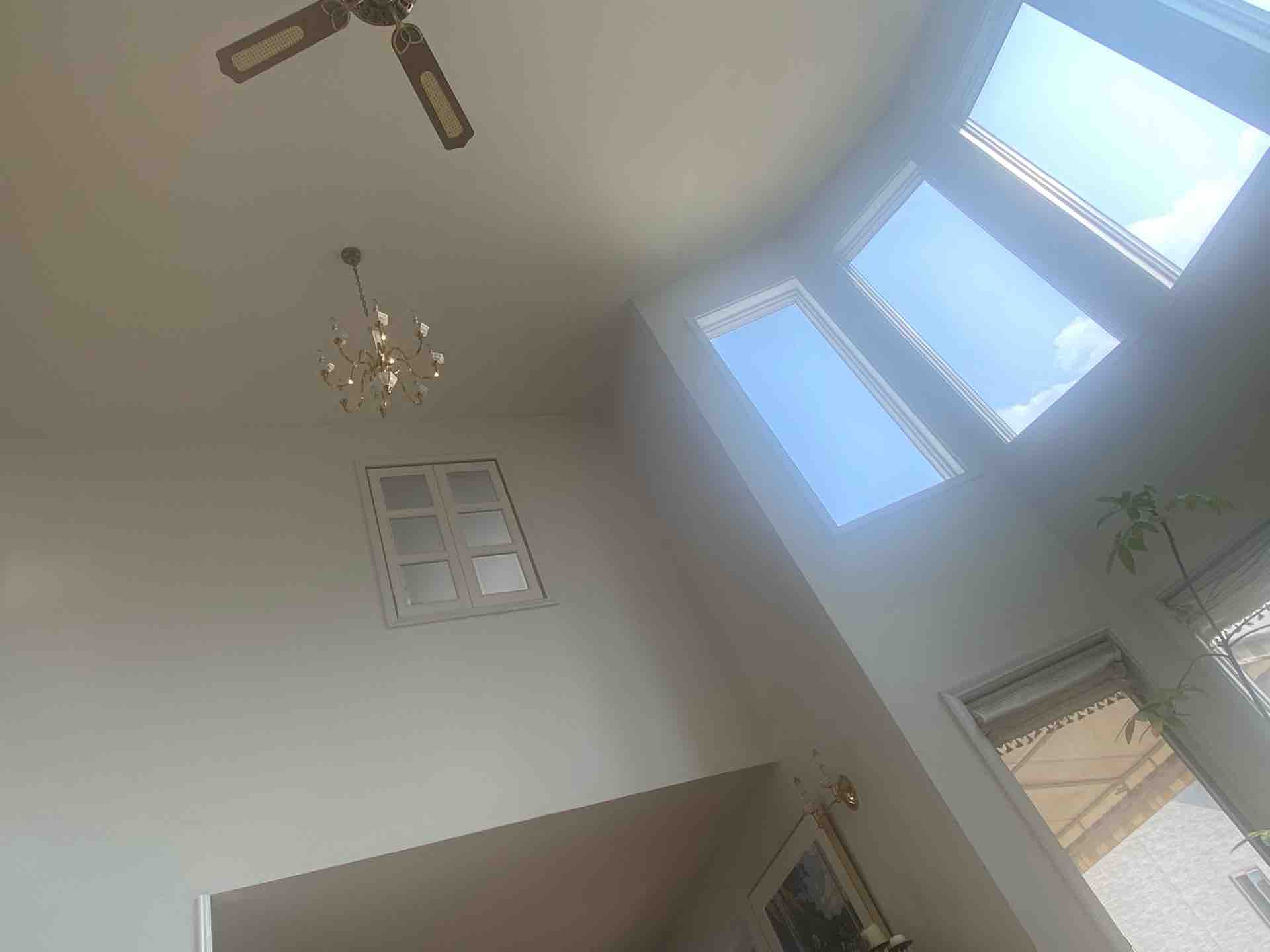 マズメシダイエット 旅する惑星