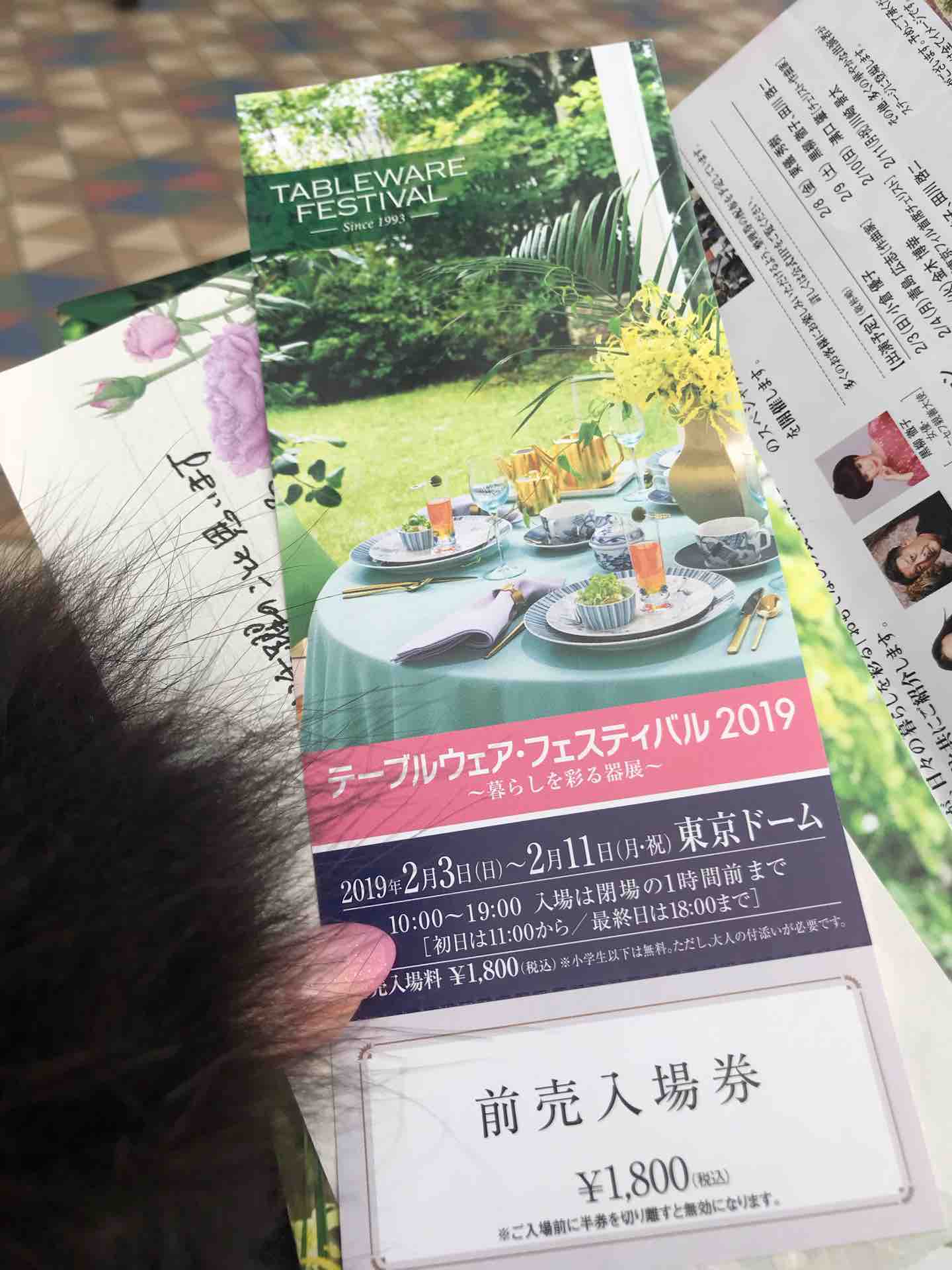 テーブルウェアフェスティバルに行ってきました 旅する惑星