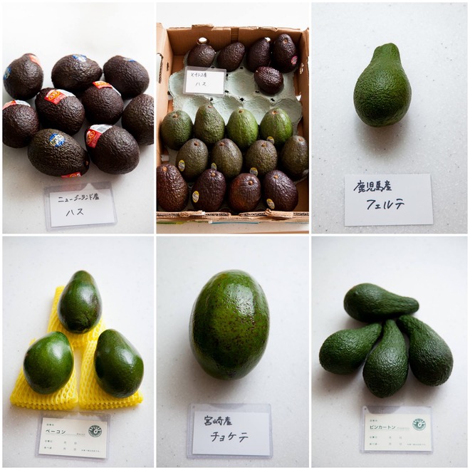 avocad2