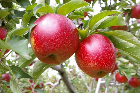5c5d11a6.jpg