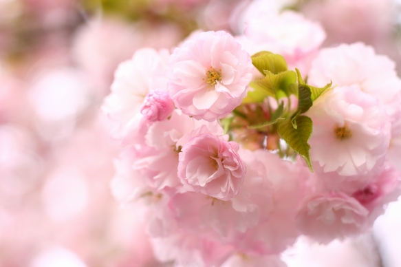 755d0e7b.jpg