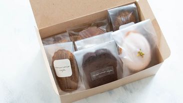 353195474_3115623348745280_8720152003651588804_n