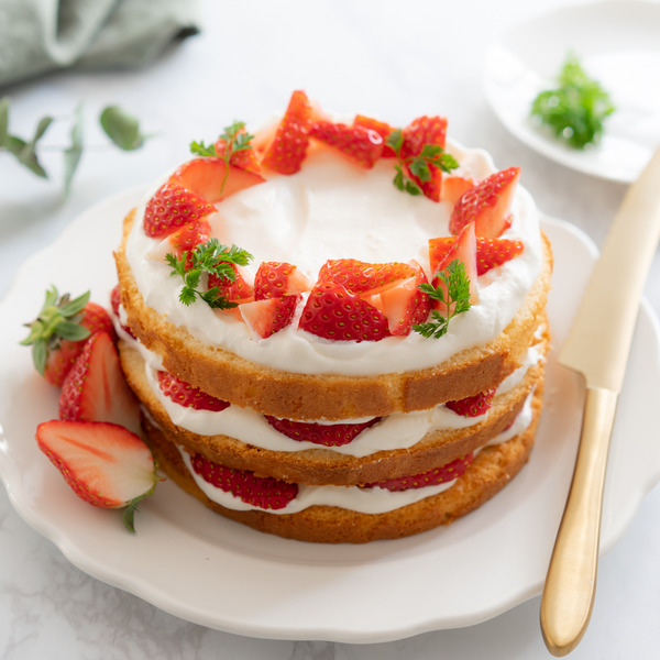 cake-3