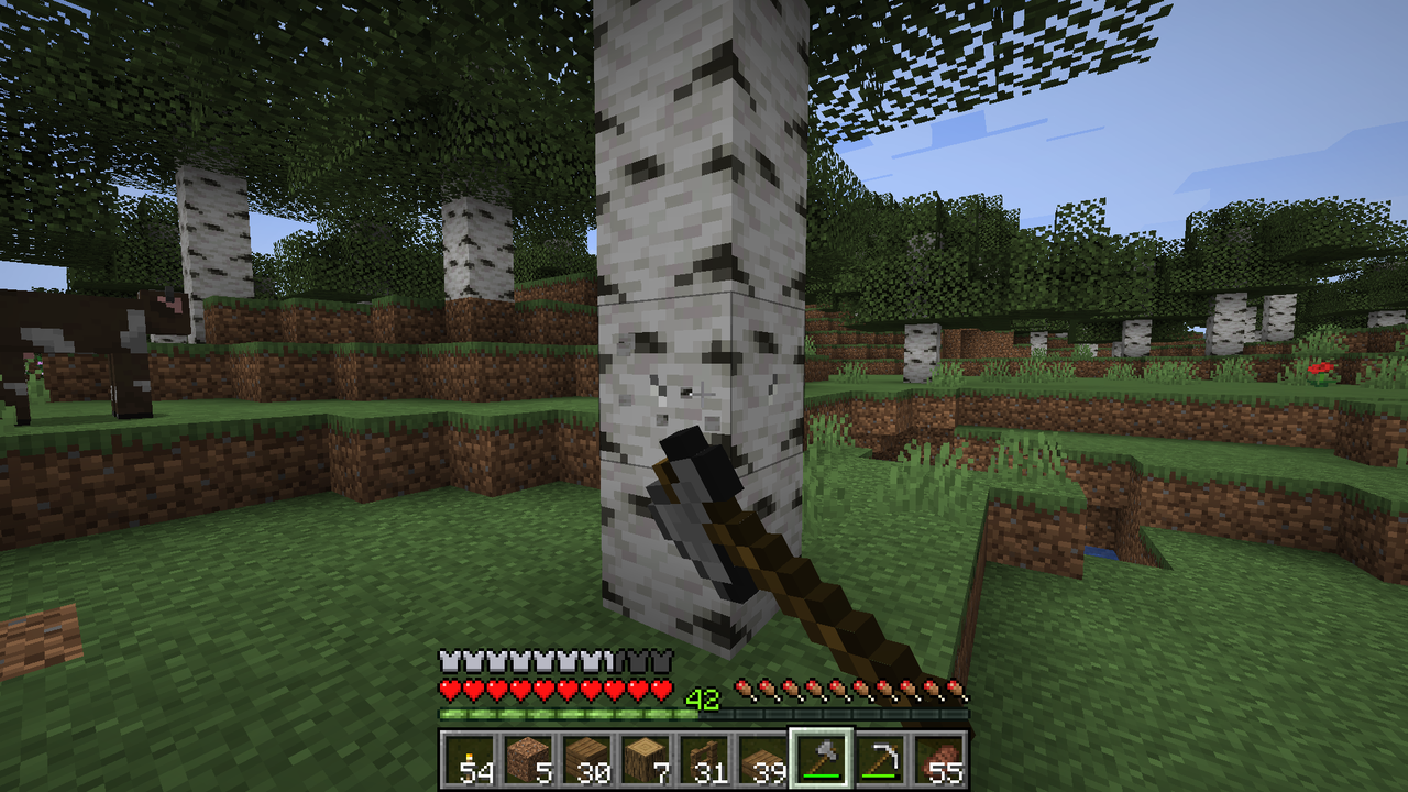 白樺の森を整地 マリスのminecraft