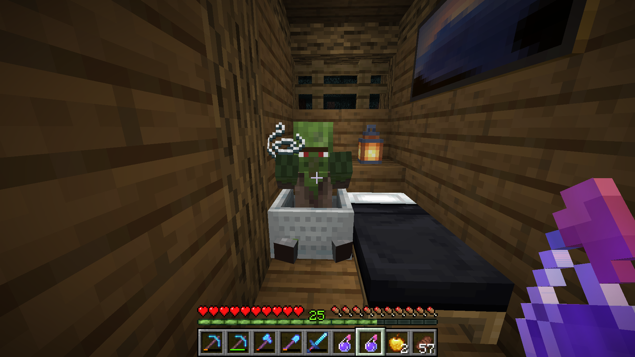 村人治療始めます マリスのminecraft