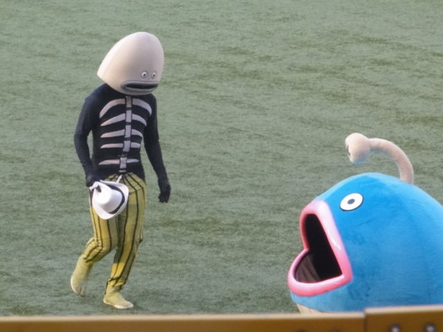 会報947 マリーンズ 魚 登場曲のpvは流山市 江戸川台の商店街で撮影されていた 千葉ロッテマリーンズ 柏の葉後援会 もちろん非公認 会報947 マリーンズ 魚 登場曲のpvは流山市 江戸川台の商店街で撮影されていた 千葉ロッテマリーンズ 柏の葉後援会 もちろん非公認