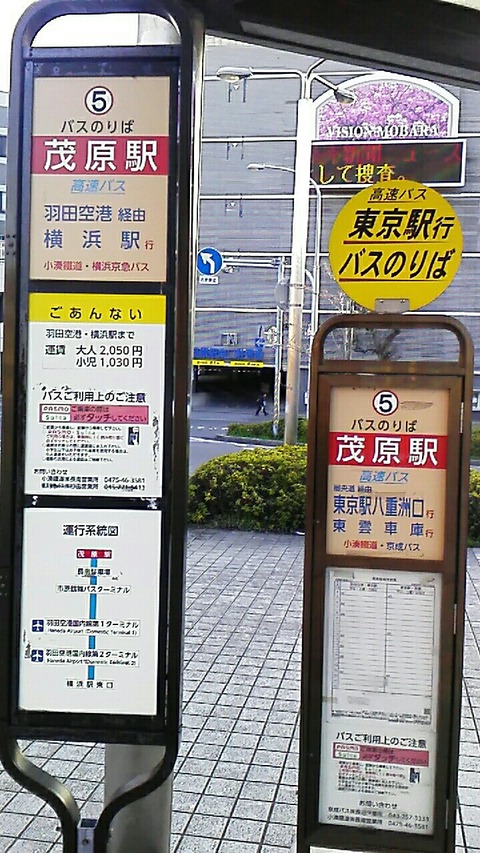 千葉 千葉ロッテマリーンズ 柏の葉後援会 もちろん非公認