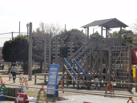 DSC00674