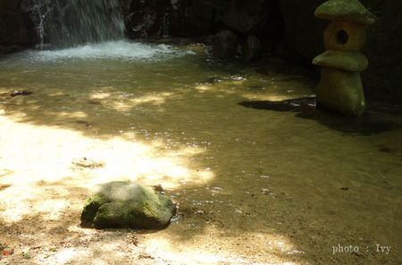 輝く水面