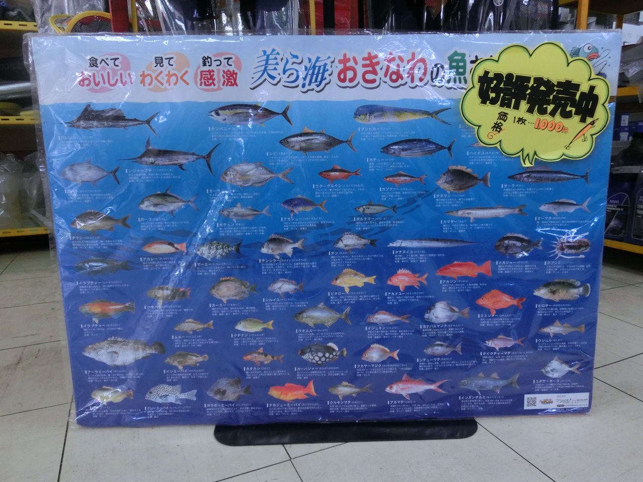 お魚 ﾎﾟｽﾀｰ 第2段 ！ : ヤマハボート 沖縄 マリントラスト店