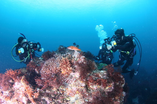 dIMG_0650