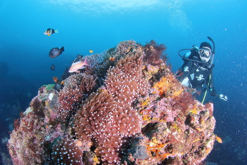 dIMG_0537