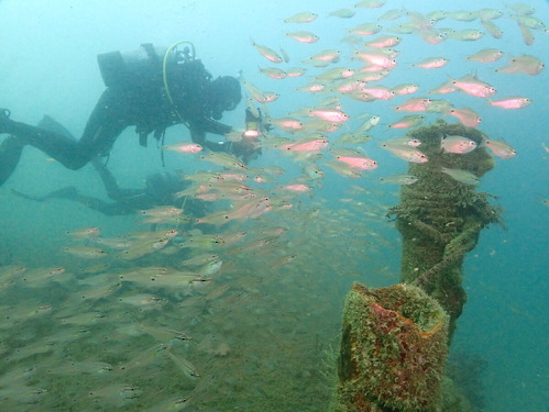 PA250708.