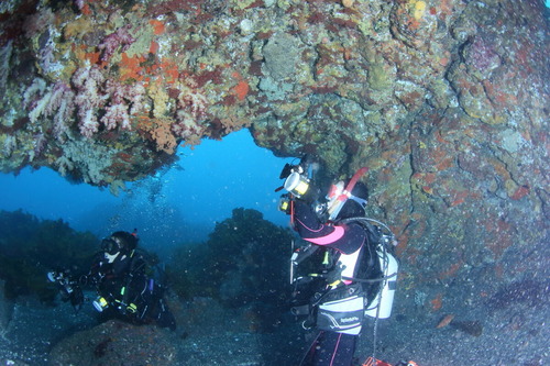 dIMG_0568