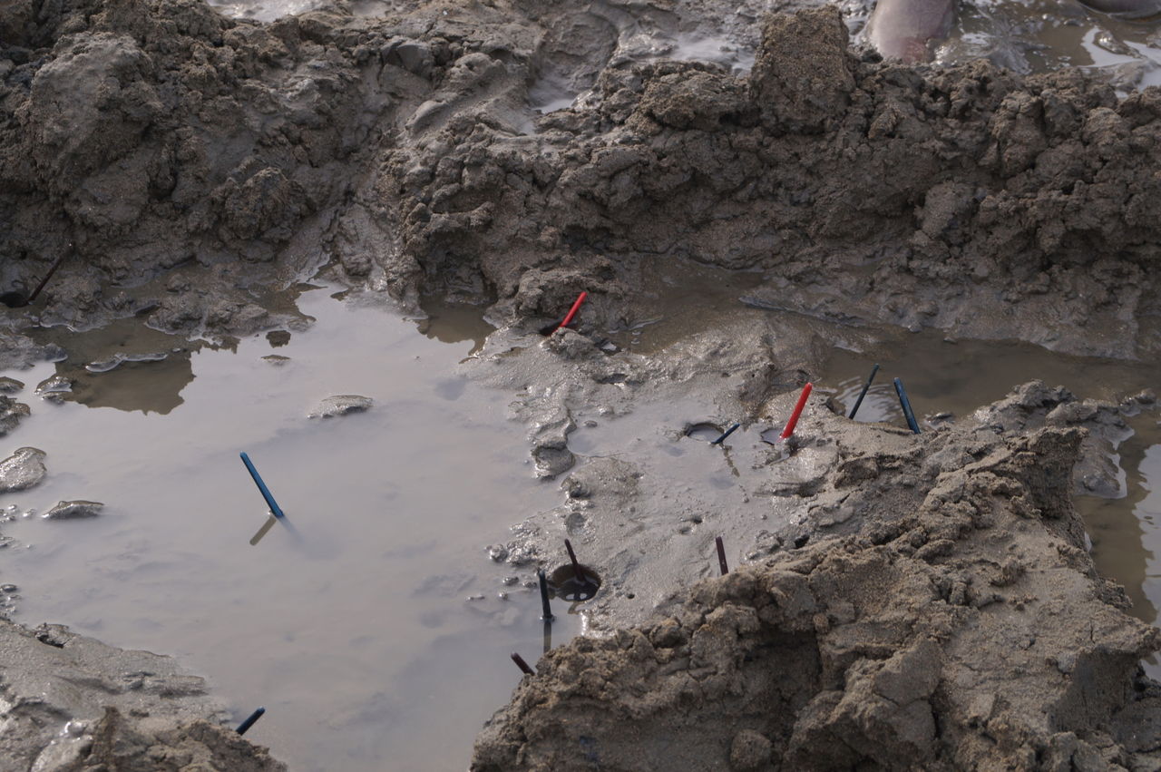 13年6月8日岡山県穴じゃこ釣りツアー Marine Station Funのツアーブログ