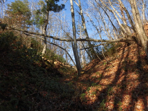 CIMG0615