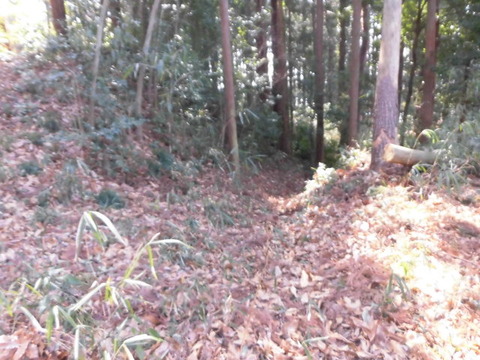 CIMG2478