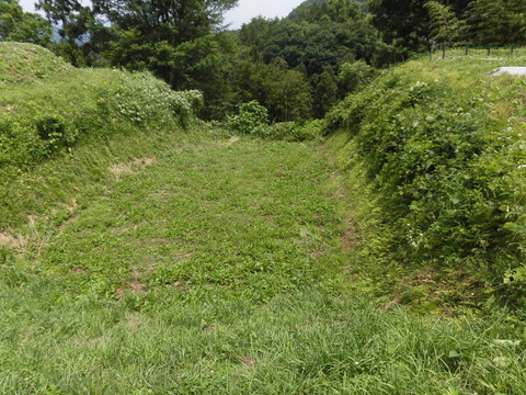 CIMG2281